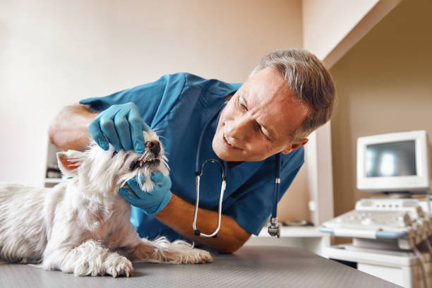 Best Weekend Emergency Dentist in Fort Clark Springs, TX