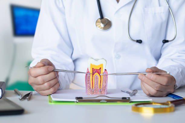 Best Orthodontic Emergency Dentist in Fort Clark Springs, TX